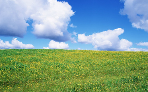 451969 (a): :1280x800
